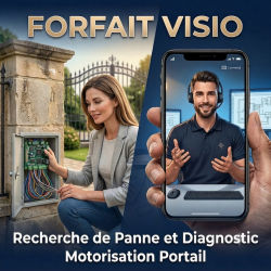 forfait-visio-recherche-panne-diagnostic