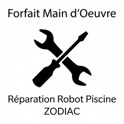 forfait-main-oeuvre-reparation-robot-piscine-zodiac